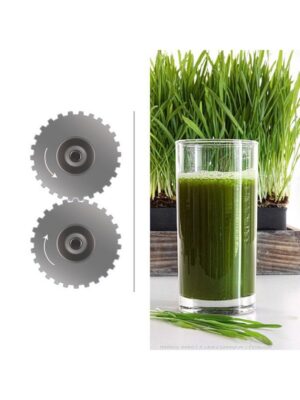 Greenstar Elite Saftpresse