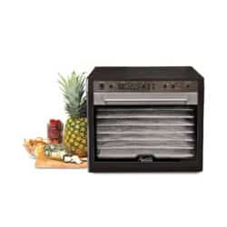 Sedona_Combo_Rohkost_Doerrgeraet-edelstahl-ananas