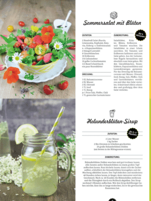 Buch "Saisonal kochen" von Diana Pyter