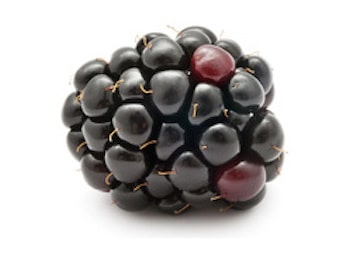Fruits and Vegetables Brombeere