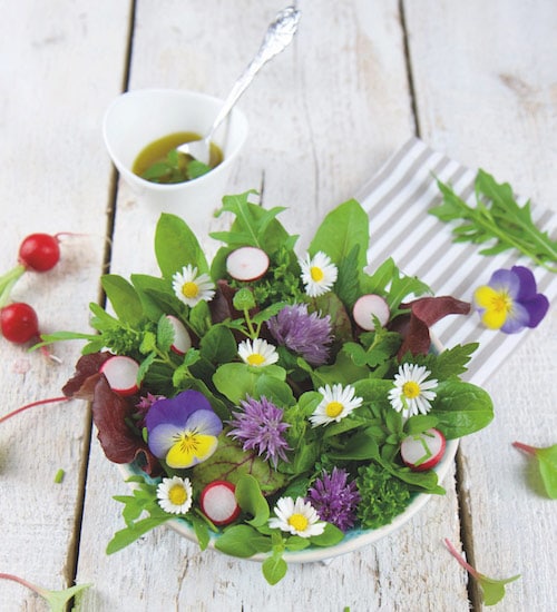 Rohkost Rezept: Frühlings-Salat Mit Wildkräutern - Für Eine Gesunde Ernährung