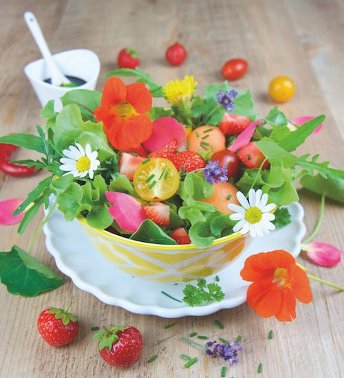 Rohkost Rezept: Sommersalat Mit Blüten - Für Eine Gesunde Ernährung