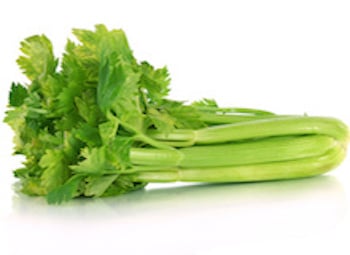 Fresh green celery isolated on white Sellerie