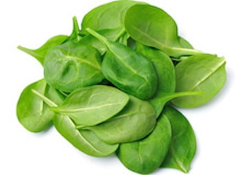 Fresh spinach Spinat