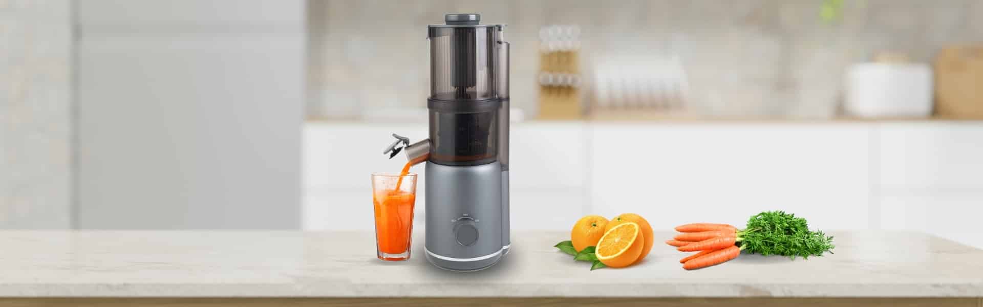 tribest shine multi batch compact juicer erfahrungen