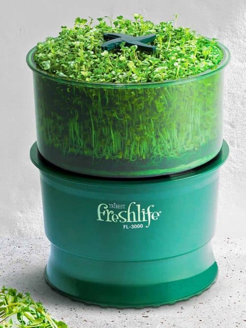 Vorführgerät: Tribest Freshlife Keimgerät