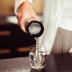 vitajuwel_sana_toplid_black