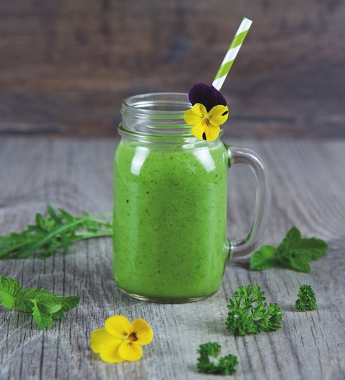 gruener smoothie spinat rezept hapuepy vita