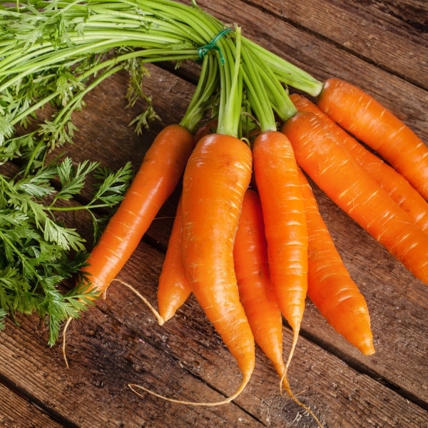 happy-vita-rezepte-karotte