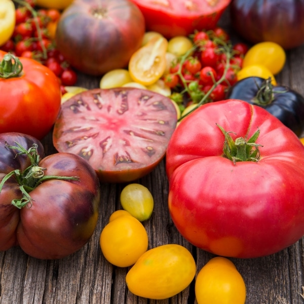 happy-vita-rezepte-tomate