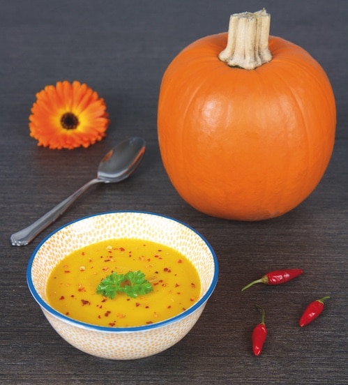 kuerbissuppe rezept happy vita