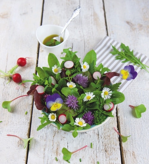 fruehlingssalat rezept happy vita
