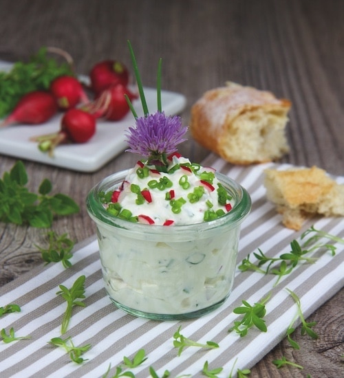 radieschen fruehlingsquark rezept happy vita