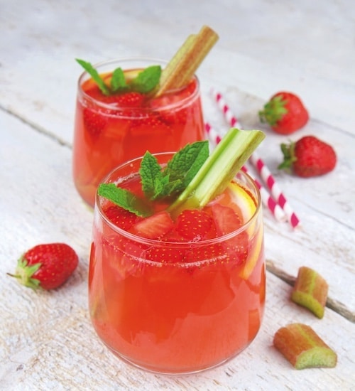 rhabarber saft rezept happy vita
